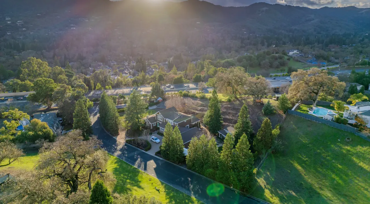 Aerial view over the treetops toward the valley and hills